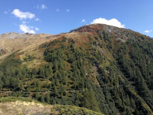 JV Ausflug 2018 Rosswald (28)